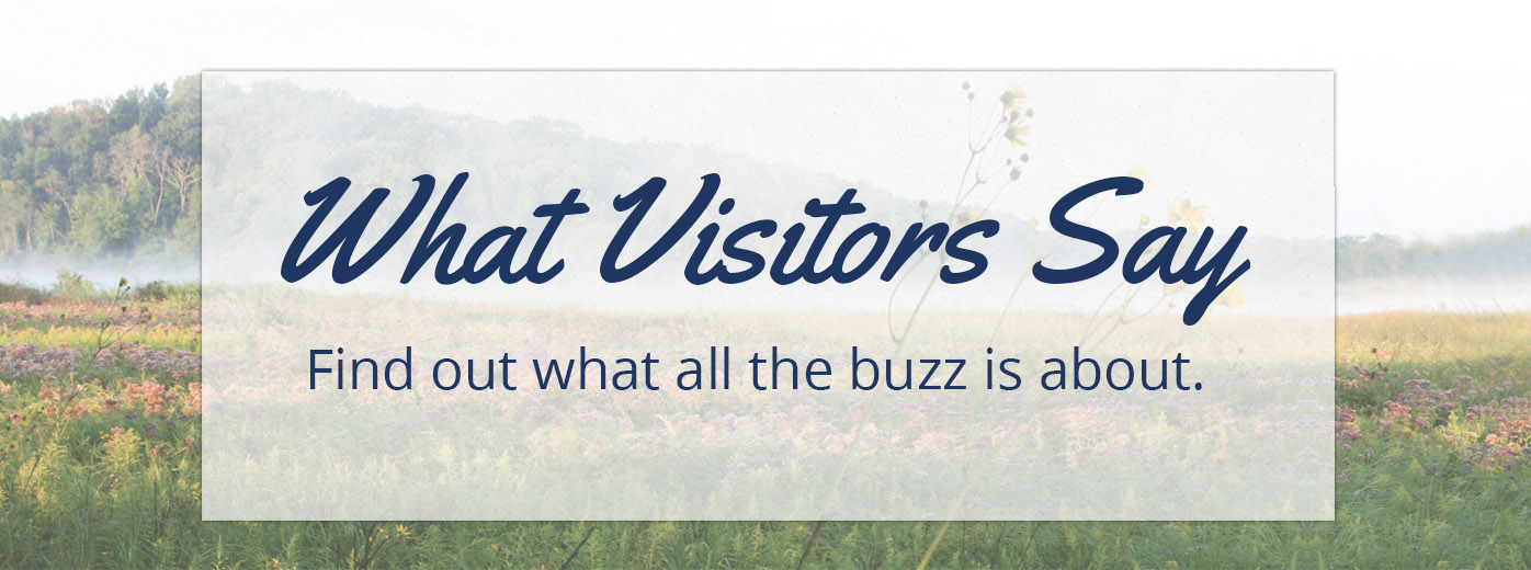 visitors_large
